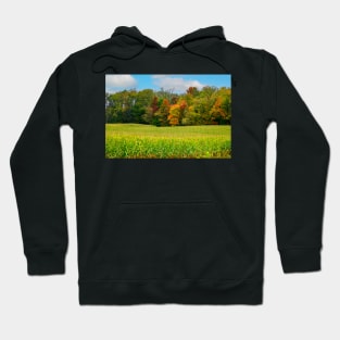 autumn landscape in the countryside Hoodie